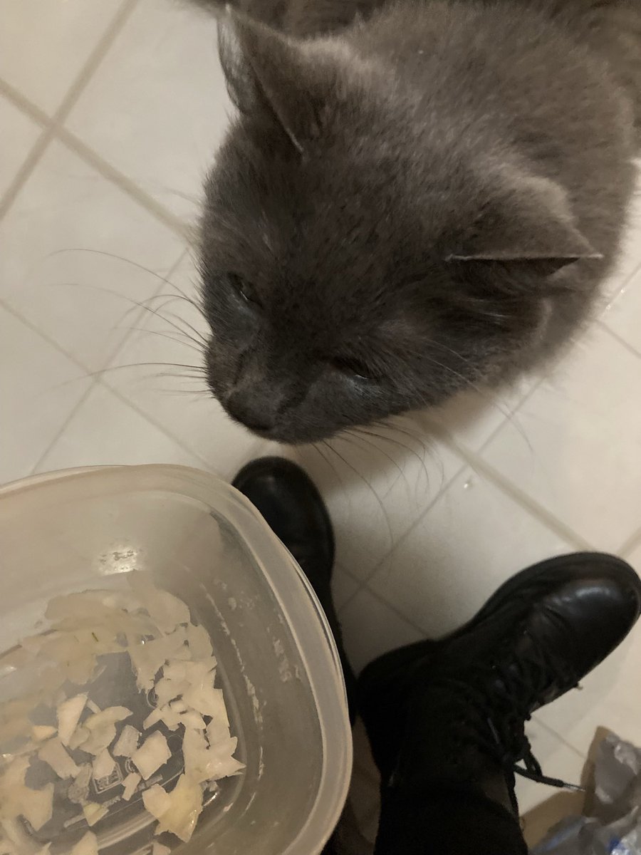Ich want to sniff der Onions, but mein Mutter keeps pulling it away >:(