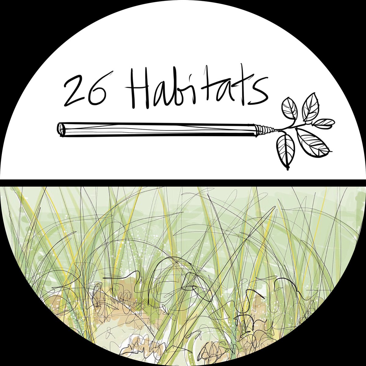 As part of the #26Habitats centena & essay series in collaboration with @WildlifeTrusts as I take a look into the aquatic world of the ‘Seagrass Meadows’

bit.ly/3hq02zN

@26characters @EssexWildlife @lydiathornley #SeagrassMeadows #Poetry #WildlifeTrust #rtArtBoost