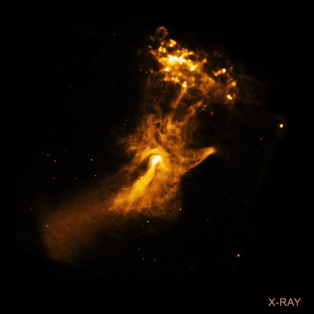 ✋The hand-shaped structure, seen in gold in these images, is a nebula of energy & particles blown by a #pulsar left behind after a star exploded. The pulsar, known as PSR B1509-58, is about 19 kilometers (12 miles) in diameter and it's spinning around almost 7 times per second!