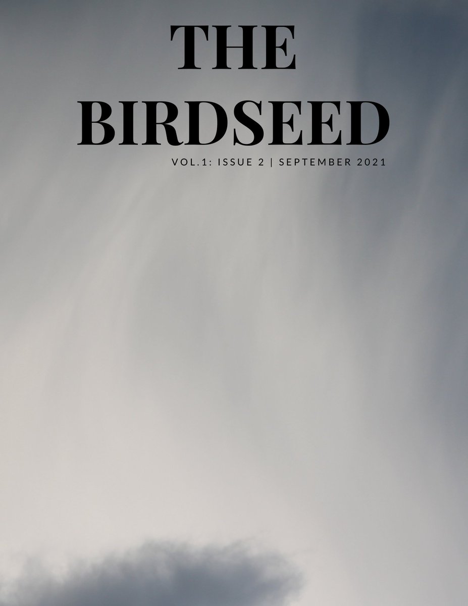 Issue 2 is publishing in just *two* short days!  Get ready for a storm of knock-your-socks-off pieces from 31 magic contributors--we have vengeance, we have hope, we have steam, we have magic, we have birds, &amp; of course we have the downright weird, all flying in on Sept. 30