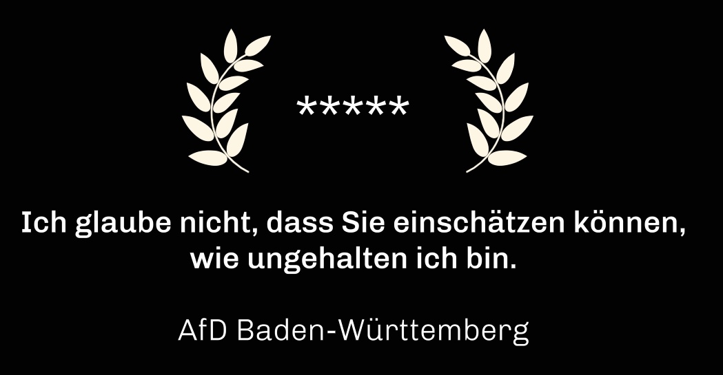 cLyppersen's tweet photo. Positives Feedback sooo wichtig! ★★★★ #FlyerserviceHahn 😂🤣😂🤣😂 https://t.co/xoKgvXU0oZ