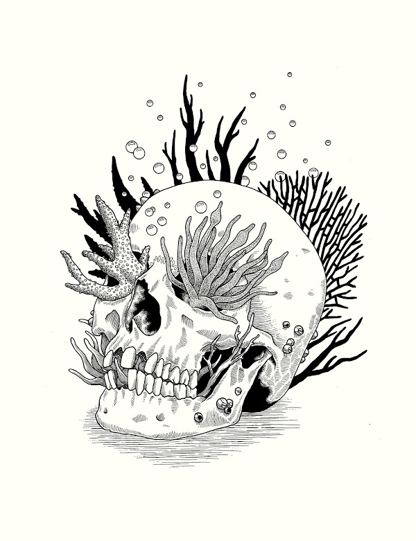 jaredwrightart's tweet photo. ⚡️⚡️Reef Skull available on @opensea⚡️⚡️

 10/10 0.1ETH 💀💜💜

This piece is part of my B&amp;W hand drawn illustrations
 RT's are greatly appreciate🙏 https://t.co/KMgXKYEdnB