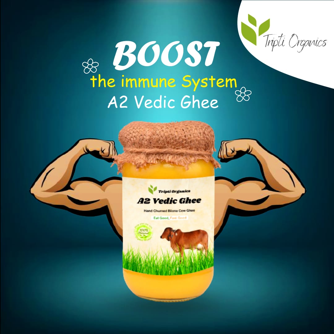 triptiorganics's tweet photo. Vedic Ghee prepared by Ayurvedic procedure is a superfood for brain. It is good for stomach, improves digestion prevents from infections.

#indiansuperfoods #indianfood #traditionalfoods
#makeinindia #vocalforlocal #ghee #a2ghee
#a2milk #gotraditional #goodfats #healthylifestyle https://t.co/ZpPzU6H1Gm
