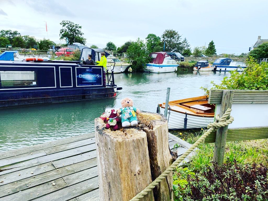 GJwalks's tweet photo. The bears are keen to try boating next time… #gjwalks #littleguy #stuntguy https://t.co/7UuYodJzuH