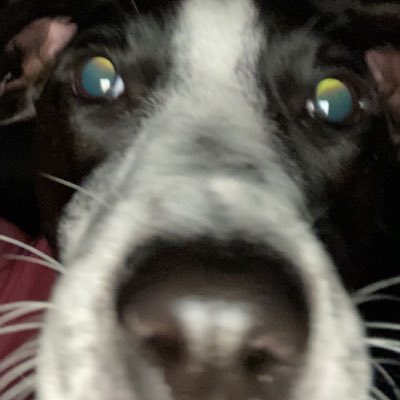 therealgiannab6's tweet photo. #NewProfilePic https://t.co/GSaphzPaWS
