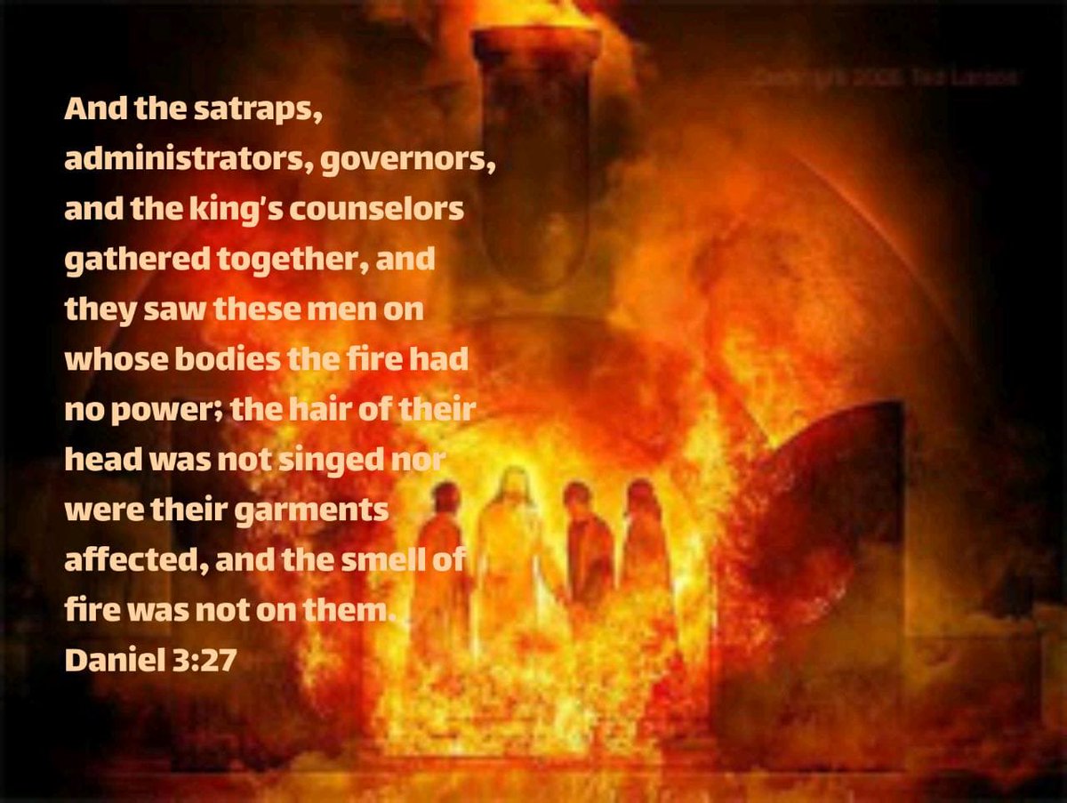 💞 Cristine Lima 💞 tweet media