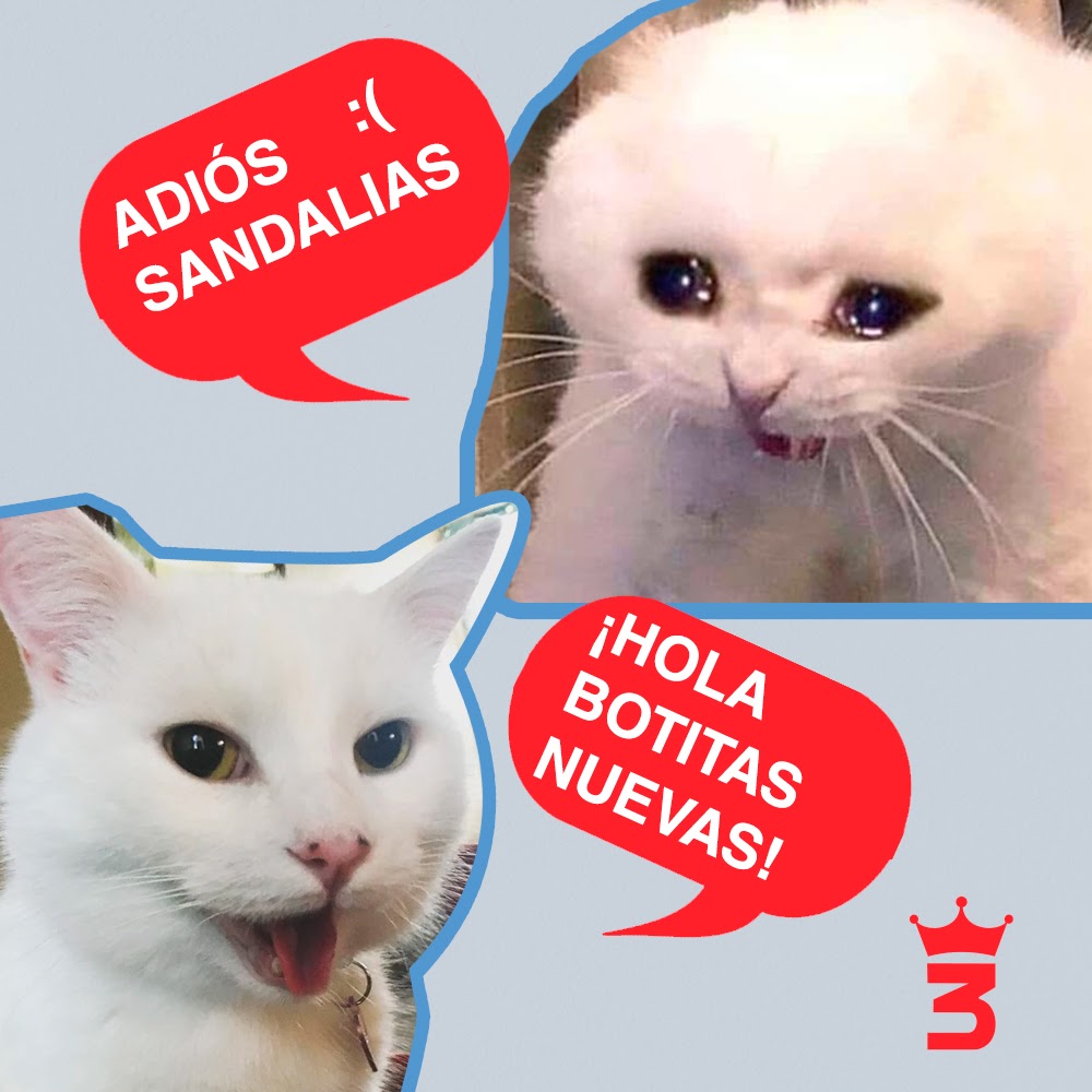 Zap3Hermanos's tweet photo. ¡El otoño ya llego! 
Así que despidámonos de las sandalias y vamos a #3Hermanos por unas botas nuevas.

https://t.co/TT4nWHV8EE https://t.co/5UOQEP57zC