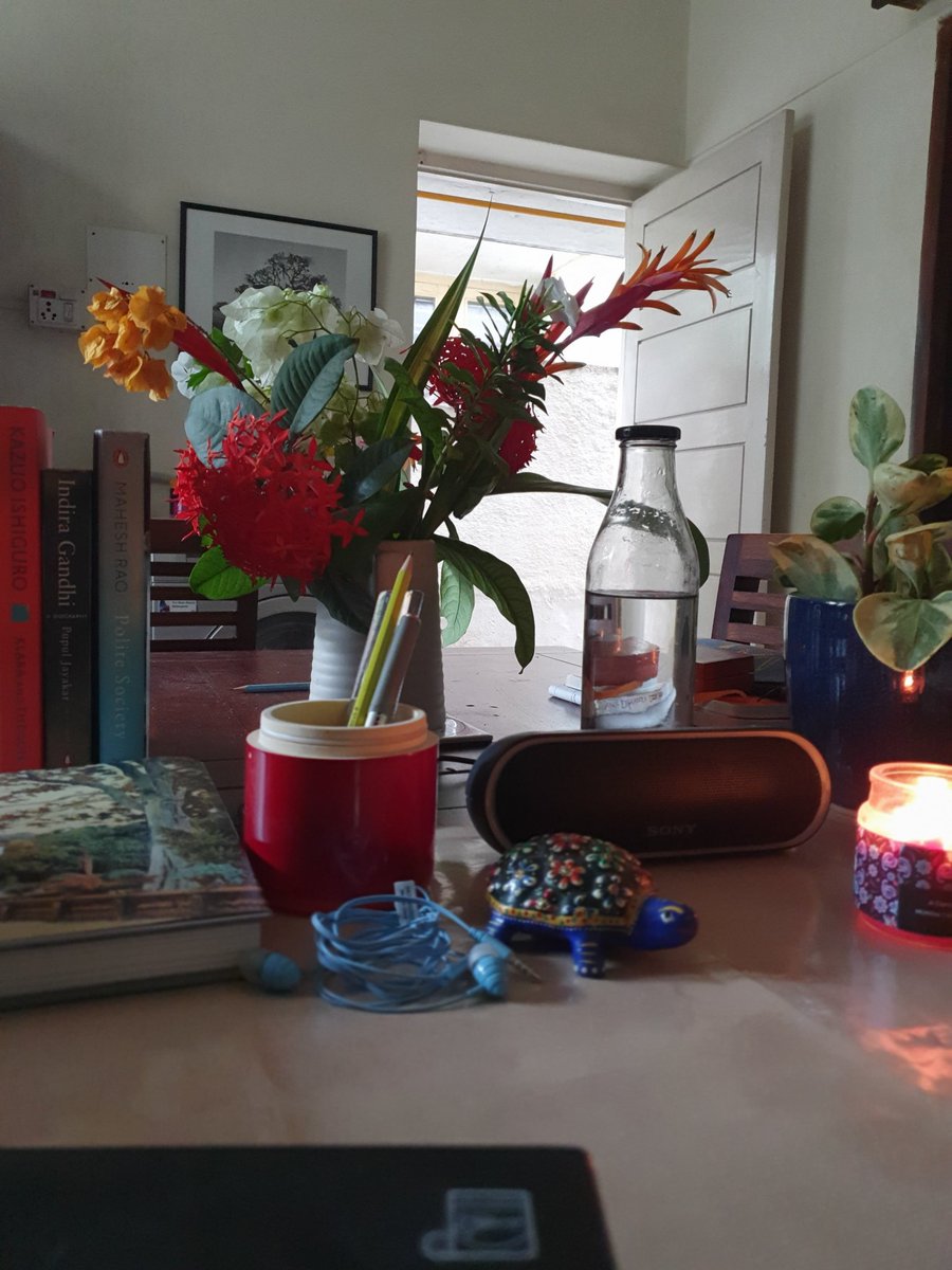 Keeping #wfh spaces pretty since 2020
#wfh #homegrownflowers #bloomandgloom
