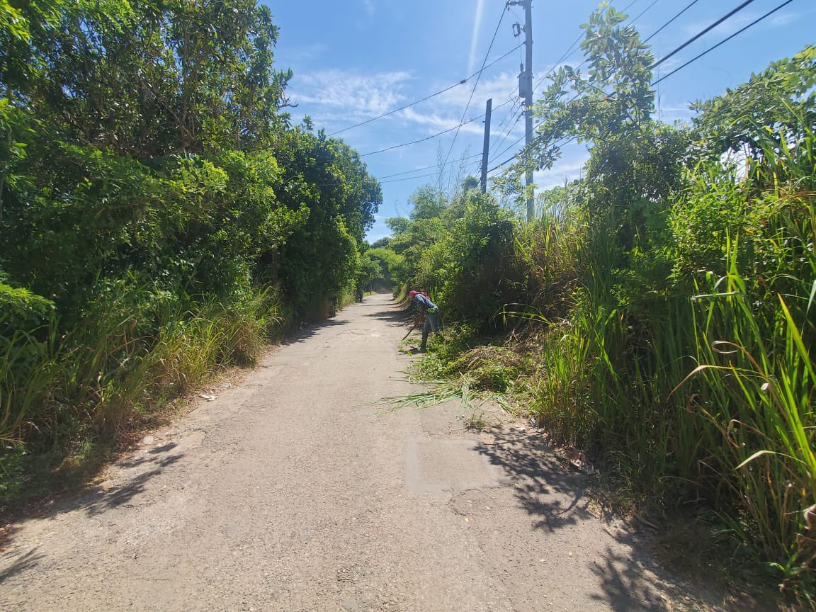 Tova_Hamilton's tweet photo. Today we continue work along the Samuel Prospect main road with funding from the CDF. We will do some bushing along the roadway and patching of sections leading into the community.

#RoadtoRecovery #TrelawnyNorthern #InchxInch https://t.co/uyhLXDAS8I
