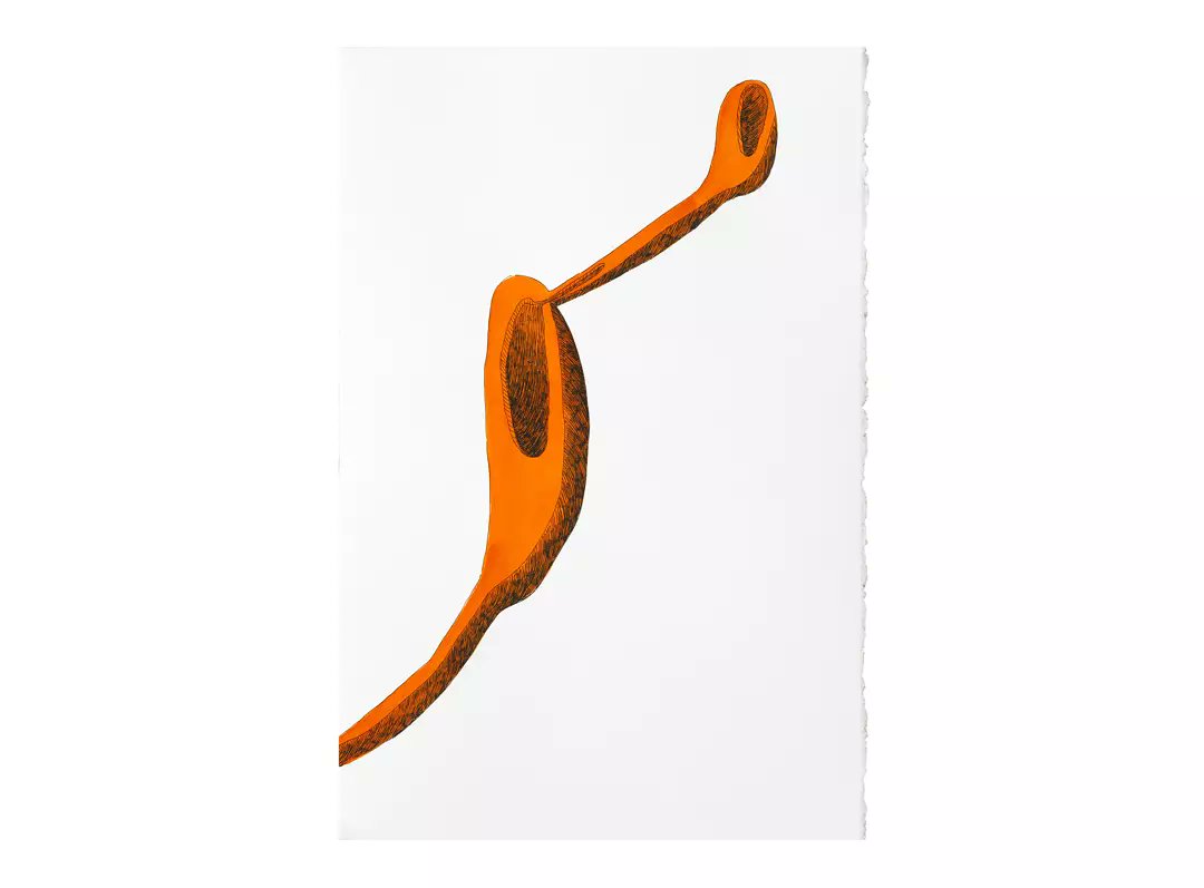 galeriaPNB's tweet photo. La serie 'Nacimiento' (2021) muestra un sistema de vasos comunicantes naranjas, en el que diversos patrones celulares se cruzan y evolucionan simbióticamente hasta culminar con la erupción de un diente
📍El tiempo de las lombrices #GaleriaJoanPrats
@BCNGalleryWknd #TeresaSolar https://t.co/0V1LQM9VTE
