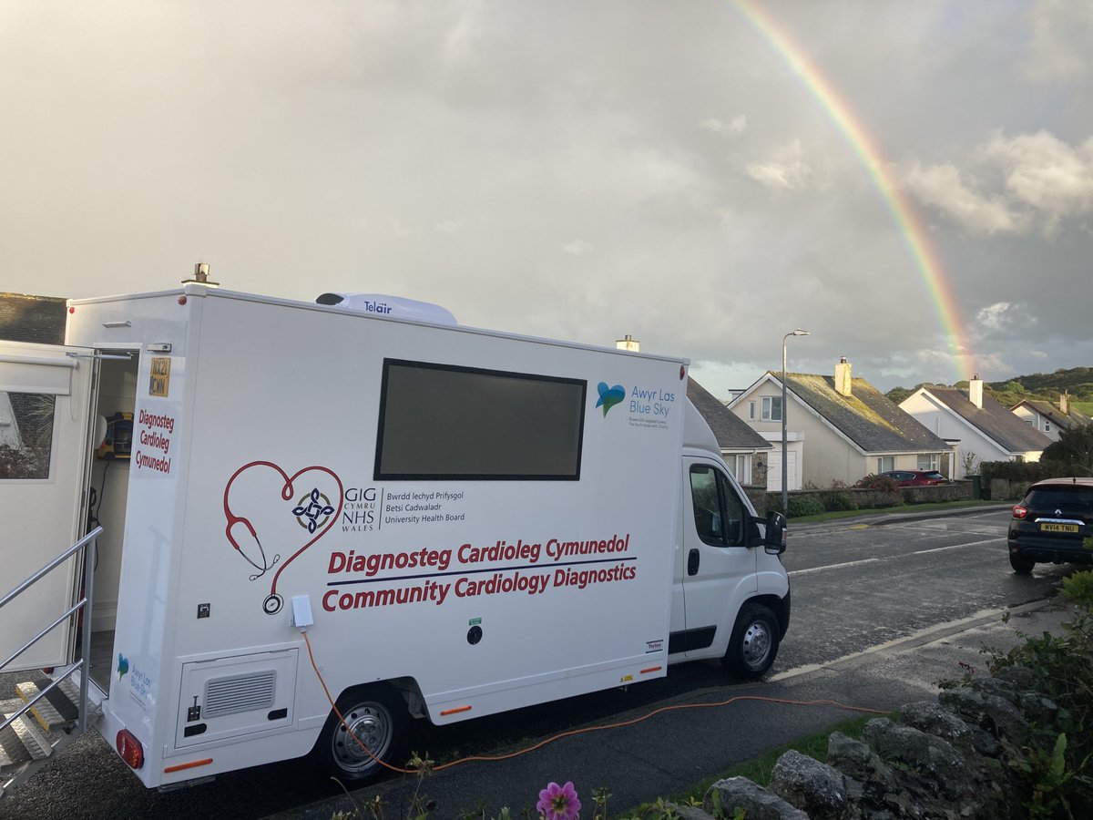 Liana Shirley tweet media