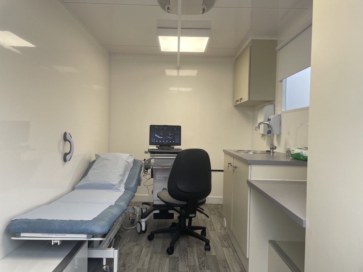 Liana Shirley tweet media