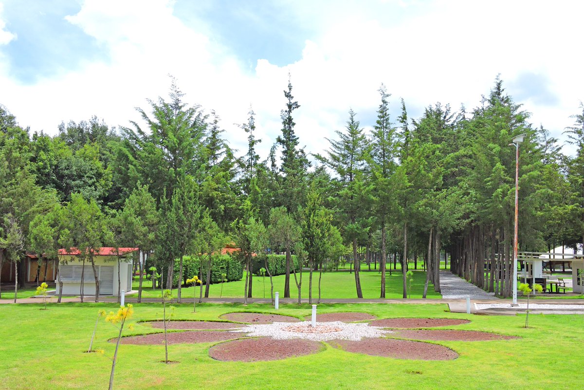 FlorDelBosque_'s tweet photo. ¡Octubre es el #MesDeLosParques! Conoce, disfruta y cuida tu parque. 

@ANPRMexico

  #ActivandoMiParque https://t.co/qO2ki1ue2N