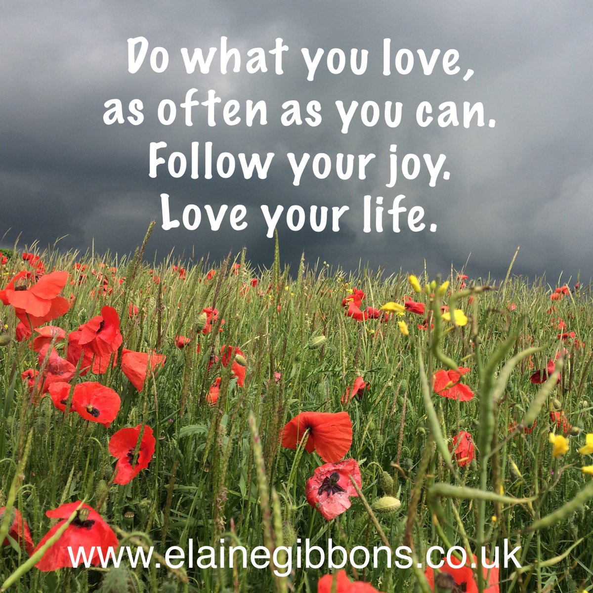 elaineg7's tweet photo. Do what you love, as often as you can #lovelife #followyourdreams https://t.co/lwVNBunPFe