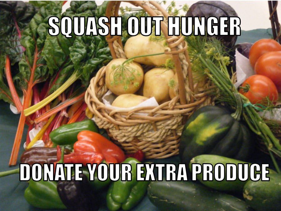 Are you harvesting squash, carrots, potatoes and more this week?
If you find you have more than you need, please considering donating to a nearby pantry or soup kitchen!
Find a list of places to donate here:
nd.gov/ndda/produce-d…