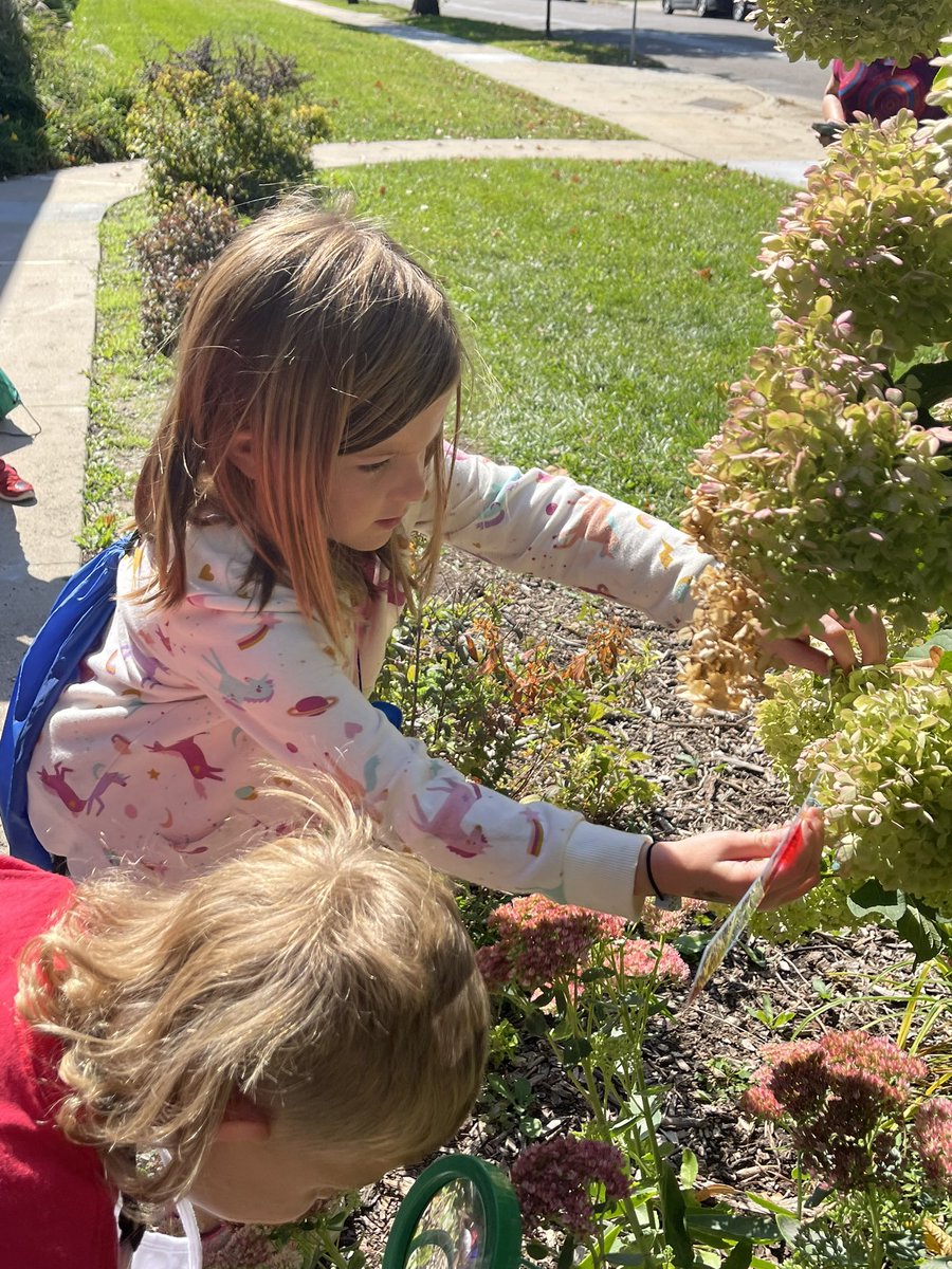 Jim Sonju tweet media