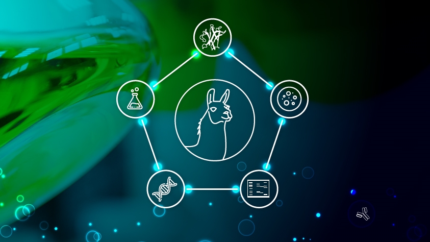 🎧🎙️ Esta tarde en <a href="/manada_podcast/">Manada Emprendedora</a> estuvimos conversanfo con Lucía Vanrell, co-fundadora de <a href="/NanogrowB/">Nanogrow Biotech</a>, empresa que utiliza nano anticuerpos para el desarrollo de tratamientos dermatológicos

👉enperspectiva.uy/en-perspectiva…