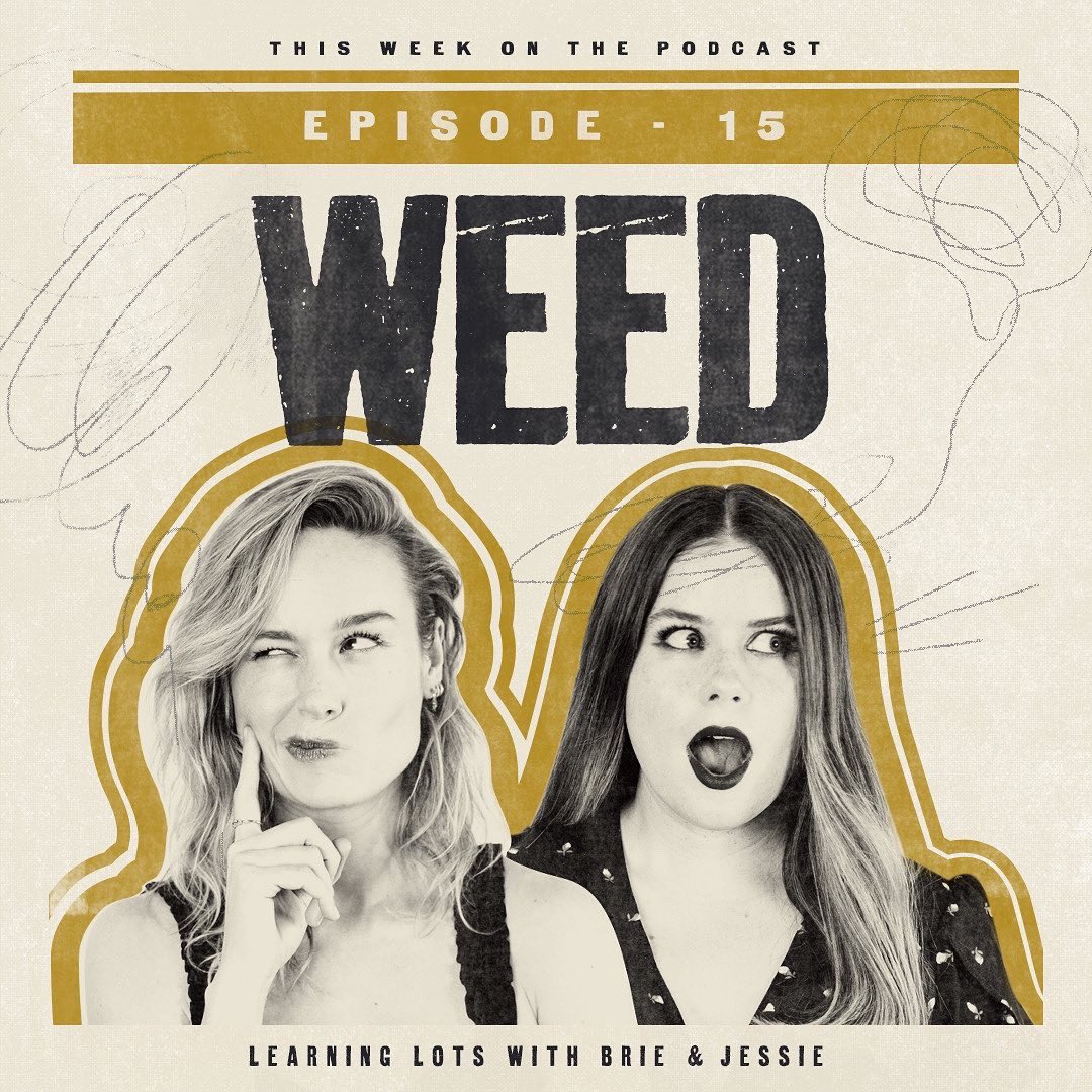 brielarson's tweet photo. I've got to be blunt... This week's @learninglotspodcast episode with @chelseahandler ranks ~high~ on @jessieennis's and I's favorites list. It’s all about weed! https://t.co/4Y3URdiMfJ