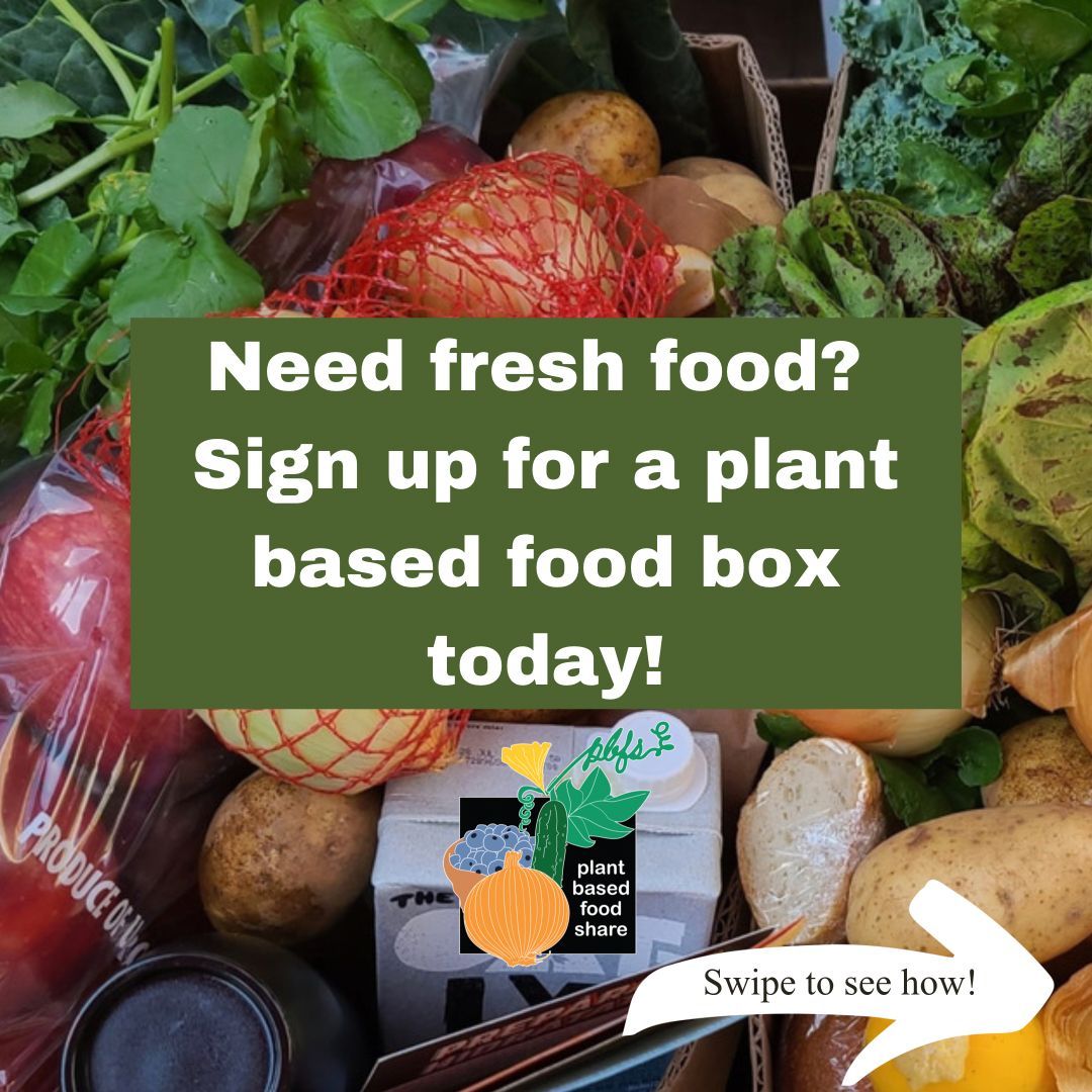 PBFS_Seattle's tweet photo. Visit https://t.co/aWkFSTypOw to sign up for a box of fresh, healthy food to pick up or have delivered this Sunday 10/3 or Monday 10/4! https://t.co/2VL2vxaatD