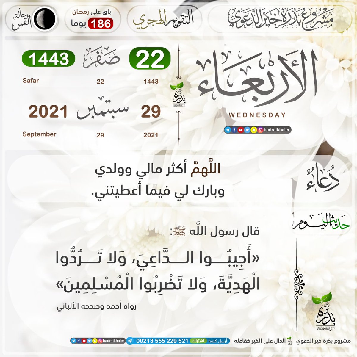 Sabah Ahmed (@sabahah11854954) on Twitter photo 