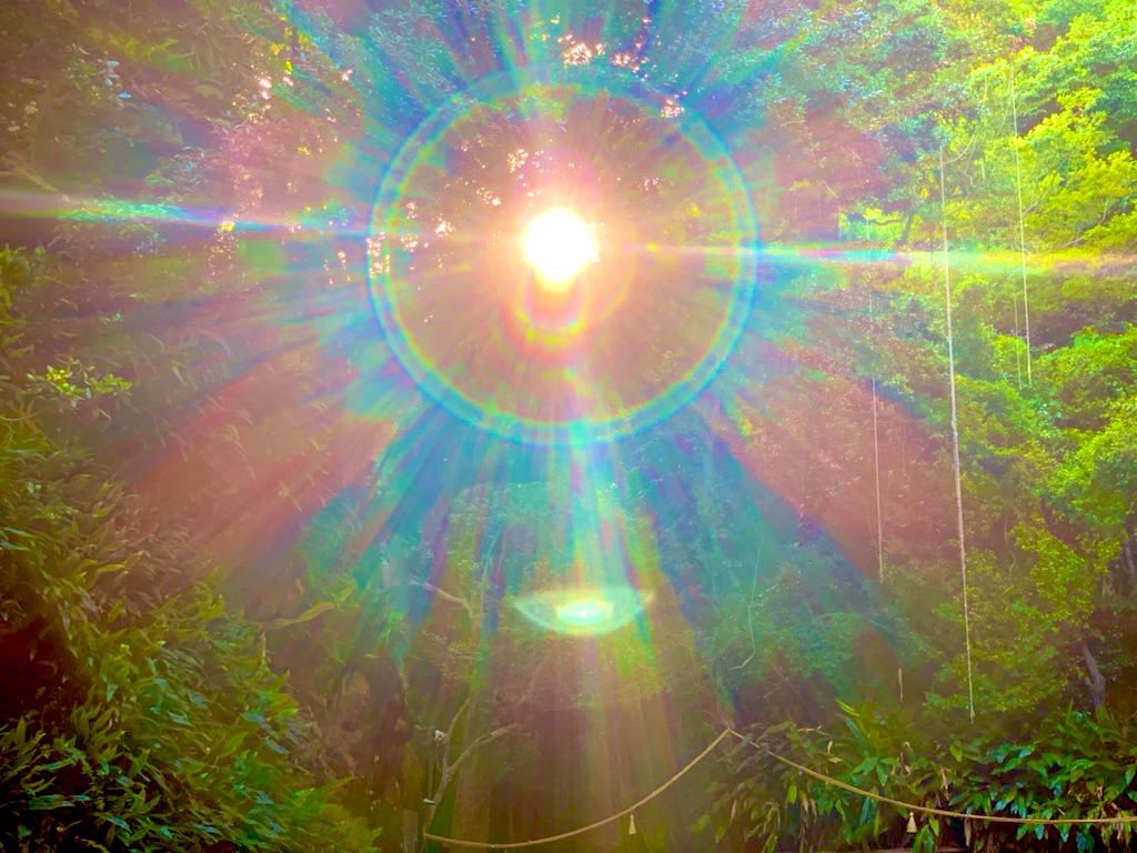 Home LogoGala Recent Activity ooyhm, xbmx, czbq, svmsl, qozqe