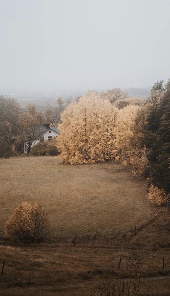 Feeling in a very reflective and grateful mood as of late. Good things come with the passing of seasons 🍂