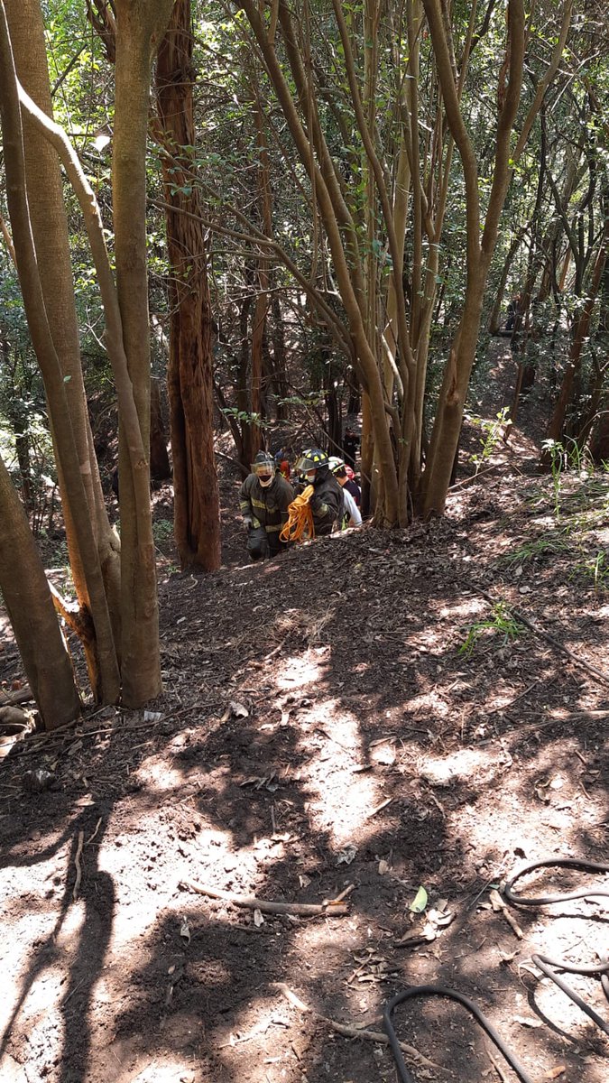 Dirección Ejecutiva de Protección Civil tweet media