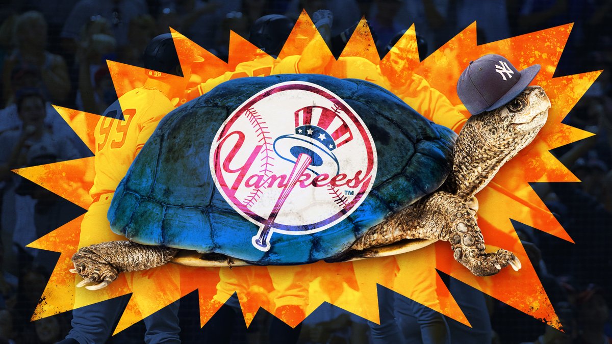 MattMonagan's tweet photo. The Yankees have made their greatest acquisition since Babe Ruth. Bronxie the turtle. https://t.co/D1WQw5sF1V https://t.co/7mehsnBAVU