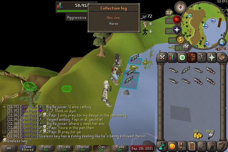 a_small_key_rs's tweet image. Pet #3: Heron at 11.6m xp