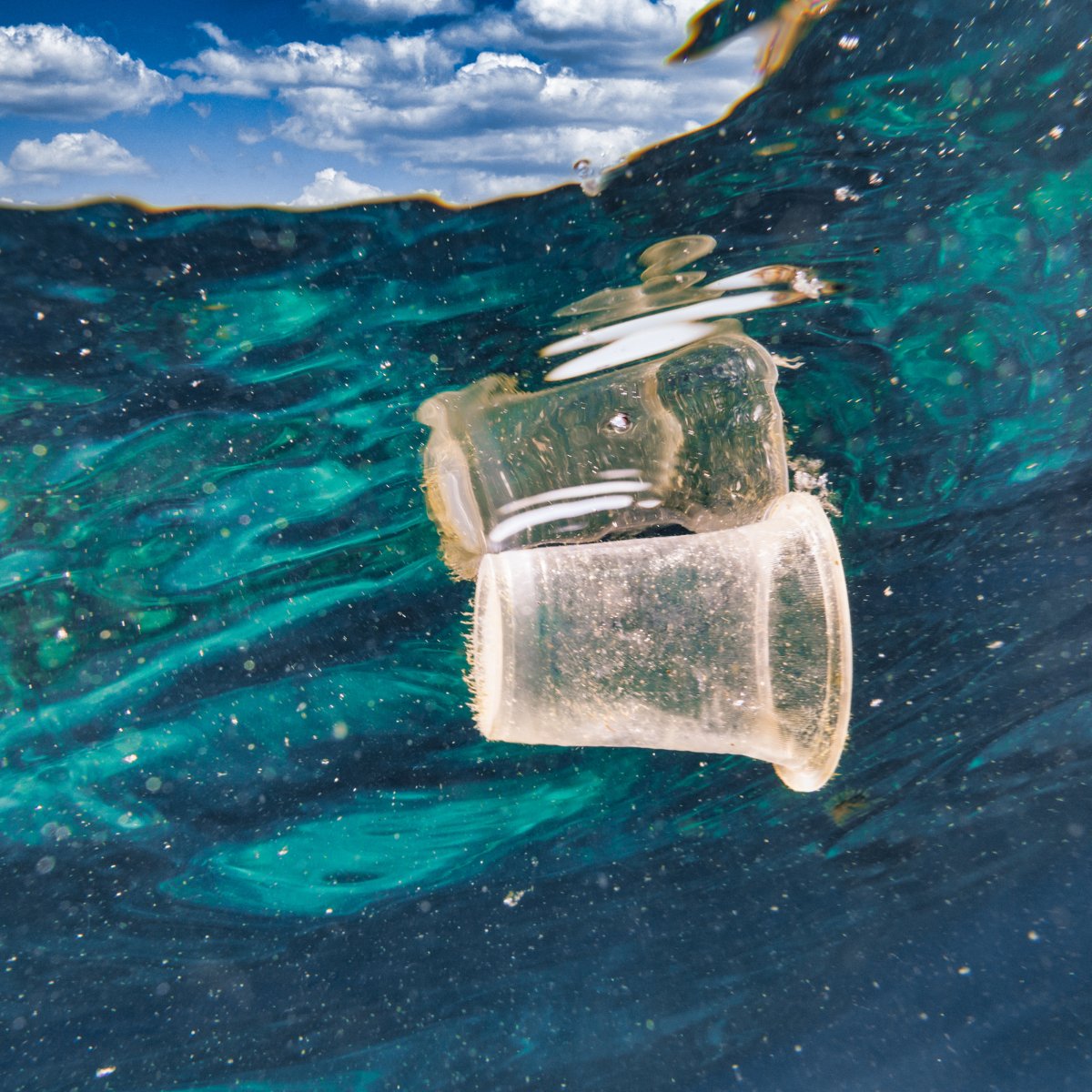 CorbyClean's tweet image. About half of the Great Pacific Garbage Patch (a cluster of trash the size of Texas floating between San Francisco and Hawaii!) is composed of fast food litter, according to the Clean Water Action 🤢

#garbagepatch #litter