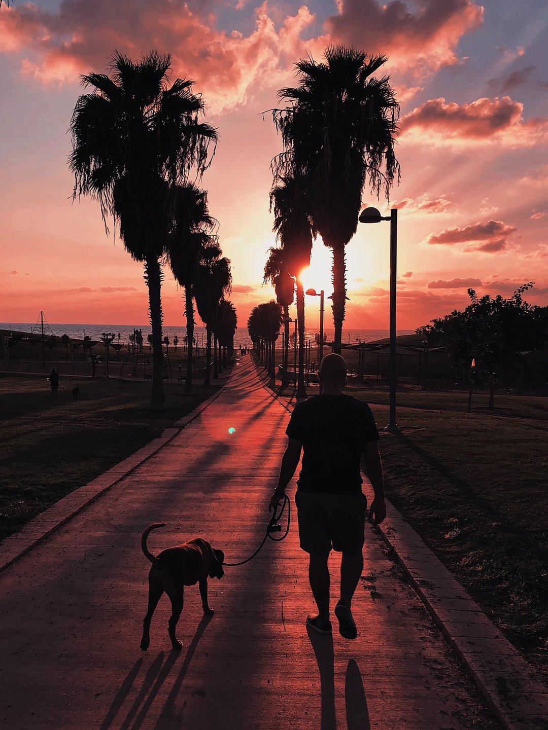 Fuelster on Twitter: "Take extra time to enjoy more walks with your ...