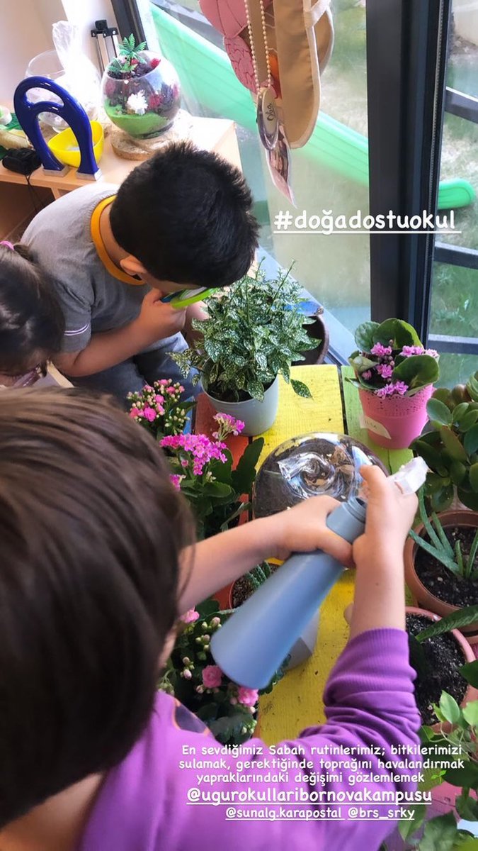 Çocuklarımız bitkilerin büyümelerini izlerken, bakım sorumluluğu almaktan da hoşlanmaktadırlar. Çocuklardan, yetiştirdikleri bitkilerin boylarını belli aralıklarla ölçmeleri istenebilir, ölçme işlemi ip kullanılarak yapılabilir, büyüme grafiği hazırlanabilir. 🎈