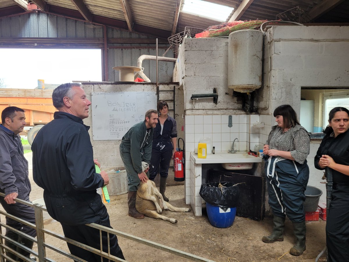 charles_pillet's tweet photo. Journée de #formation des #Enseignants en @hautsdefrance aujourd'hui au lycée agricole de la Thiérache. Avec tous ces motivés, la #filiere ne peut que bien se porter ! @Inn_Ovin @chambagri_hdf @Chambagri_02 #AONP #OSON @EleveursOvins @Agri_Gouv https://t.co/ysbiFA0XaJ