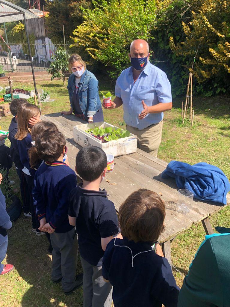 grupomarin's tweet photo. COSECHAS EN LA HUERTA DEL COLEGIO 🌱🥗- @COLEGIOMARINOFICIAL
 
Los chicos de 2do.Primaria se llevaron a casa la lechuga que habían plantado hace un mes las materias Ciencias y Science. En unas semanas, poder cosechar y comer una rica ensalada.
#huerta #huertaagroecologica https://t.co/4IyRQBWrPx