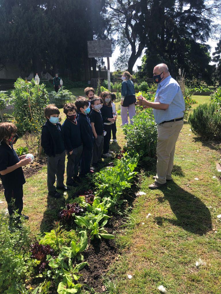 grupomarin's tweet photo. COSECHAS EN LA HUERTA DEL COLEGIO 🌱🥗- @COLEGIOMARINOFICIAL
 
Los chicos de 2do.Primaria se llevaron a casa la lechuga que habían plantado hace un mes las materias Ciencias y Science. En unas semanas, poder cosechar y comer una rica ensalada.
#huerta #huertaagroecologica https://t.co/4IyRQBWrPx