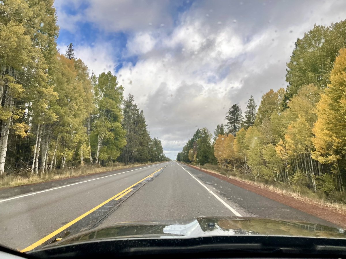 Oregon gets fall.🍂🍂🍂