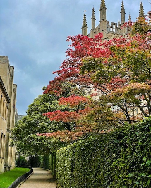 '@CourtyardOxSth' Autumn vibes in the city 🍂... where do you want to explore this Autumn? 

📸 @oxford_inspires_andmore on IG

#Oxford #oxfordshire #loveoxford #autumnseason #autumninoxford #autumnweather #autumnleaves #mapleleafs #autumnvibes …