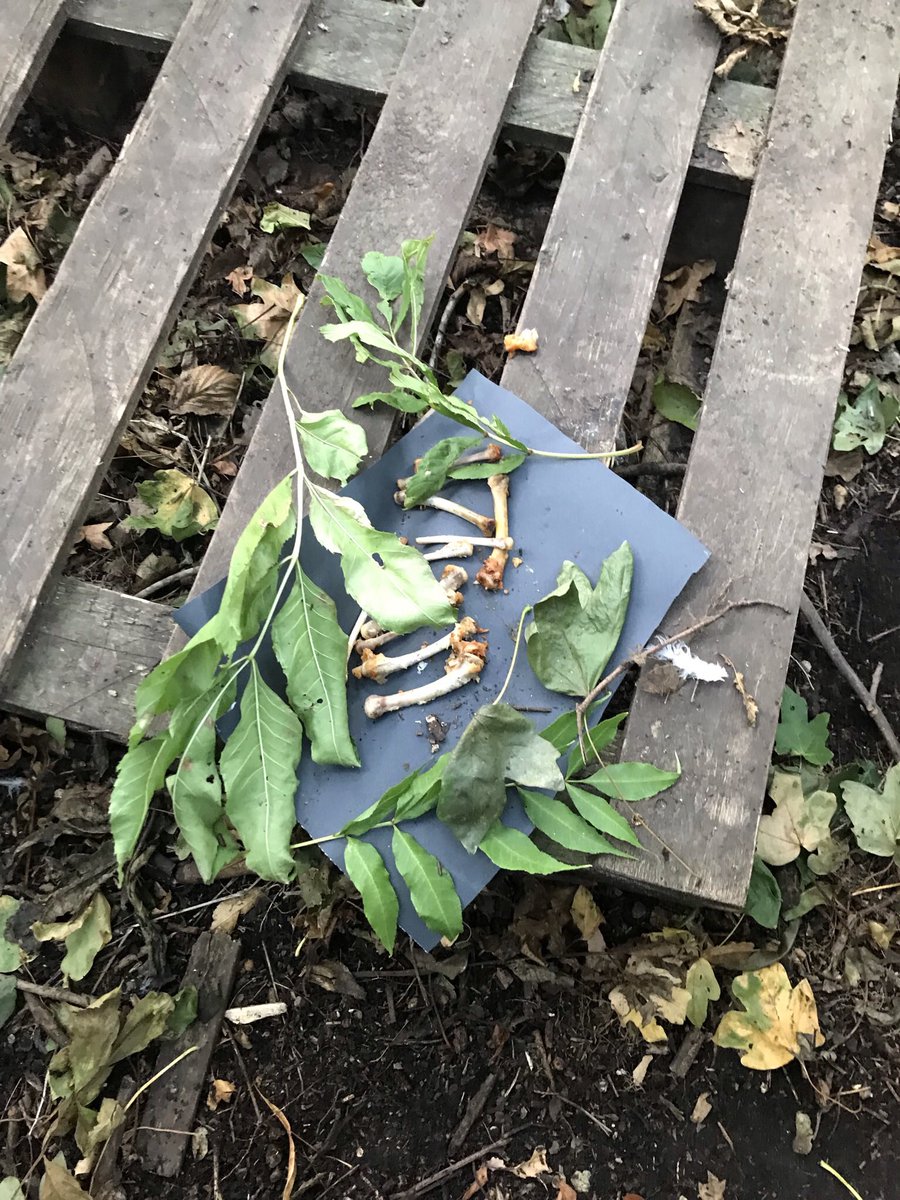 MissCogan_AMPA's tweet photo. Who’s that peering in looking at our school bunny? Beware everyone and be on the lookout. There’s definitely a wolf in these parts! @MrMason_AMPA @MissPatel_AMPA @AbbeyMead_TMET #year2english #oracyopportunities #developingvocabulary #immersivelearning https://t.co/9qhtzEqwj7