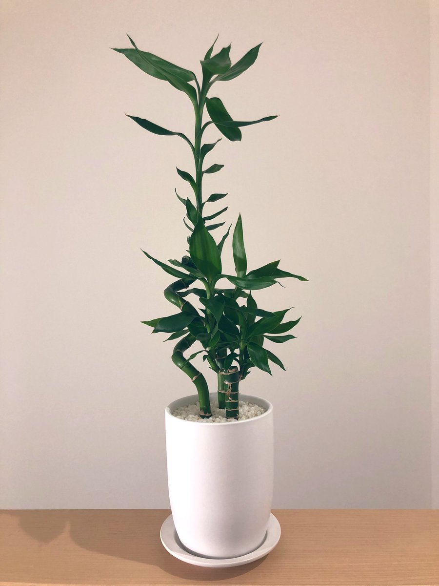 化粧砂 化粧砂