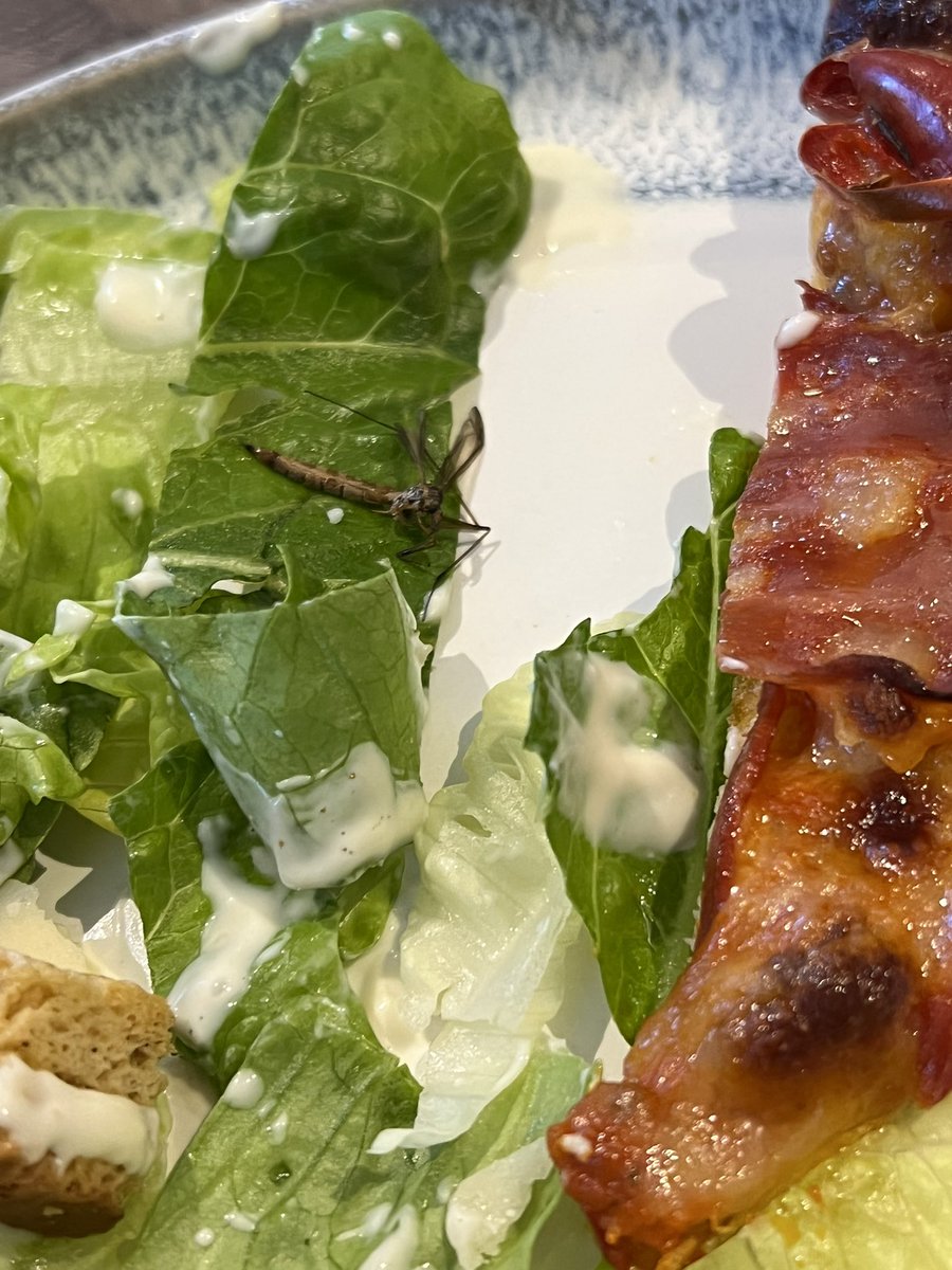 jonnystravels's tweet photo. Hey @Tesco this is NOT the topper I expected in my Caesar Salad kit 🤮🦗#extracrunch #nothankyou https://t.co/I7TTCf88Rr