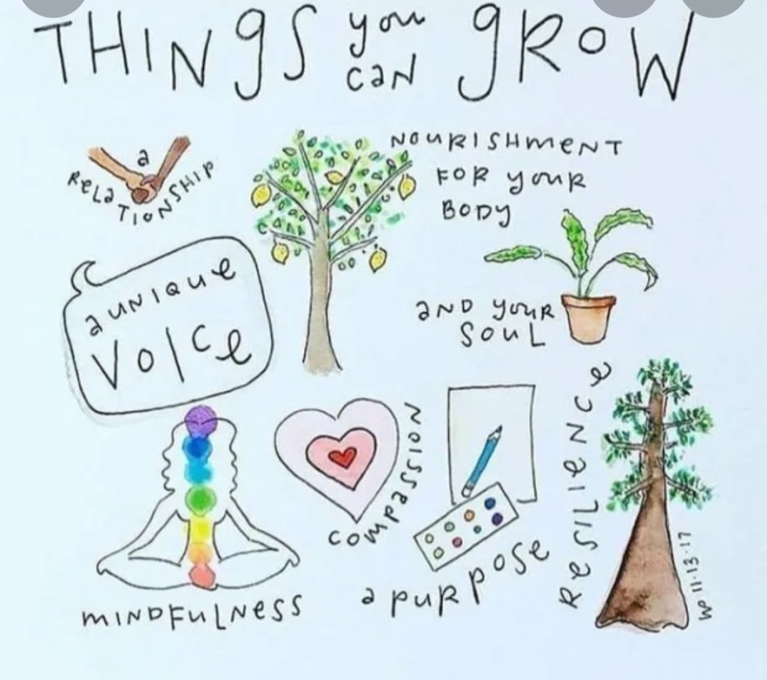 Something to think about....#growth <a href="/HCDSB_CYCs/">HCDSB_CYCs</a> <a href="/stgabrielhcdsb/">St Gabriel</a> <a href="/StTimothyHCDSB/">St.Timothy</a>