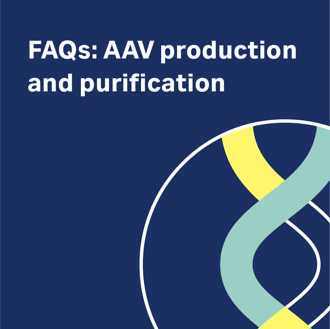 Meena Ali tweet media