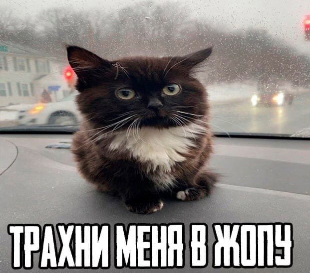 dol_baeb's tweet photo. #НоваяАватарка https://t.co/qUR1qwkyBL