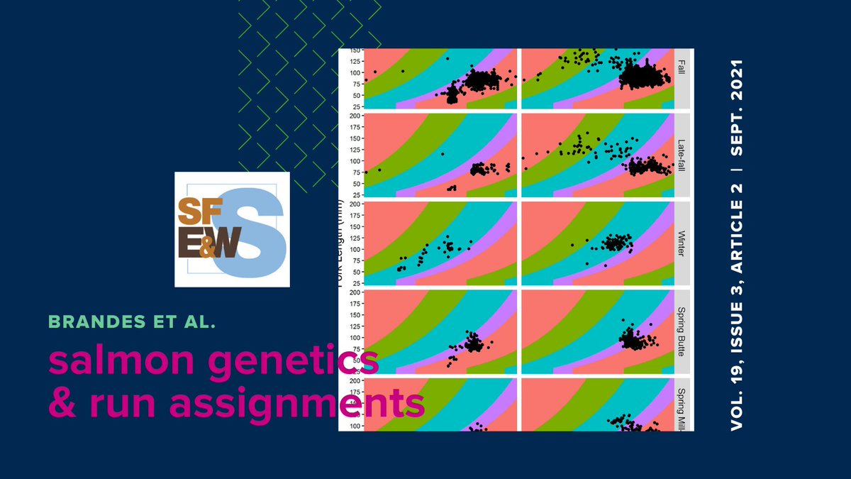 Brandes et al. use genetic run assignments to assess accuracy of length-at-date criteria at trawl locations in the #SacRiver & Chipps Is. Conclusions support including tissue sampling & genetic run IDs of juv #ChinookSalmon at key sites in the #BayDelta. bit.ly/3ogfnr4