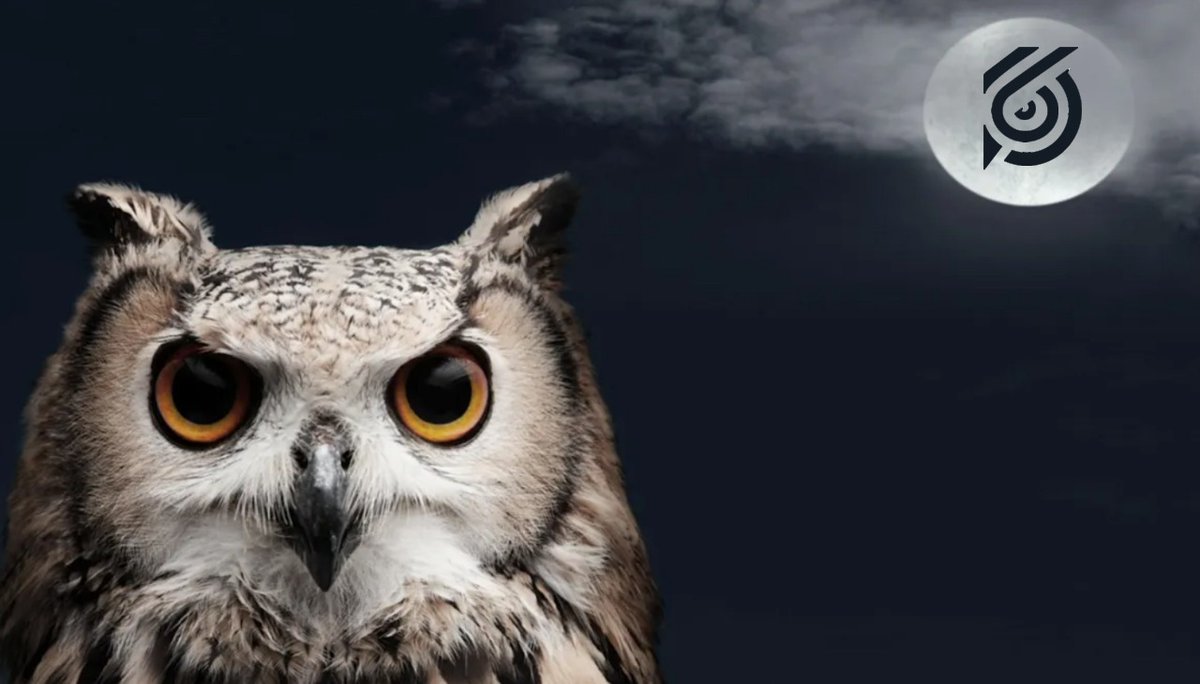 Tu nuevo #SmartContract está aquí. #Bubo está listo para que tus #criptomonedas te den el mejor rendimiento. ¡Vuélvete #BuboLover!