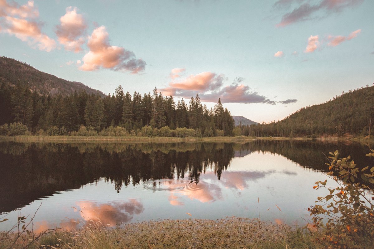 WallaBare's tweet photo. places we dreamt of https://t.co/V0fPebF6ar