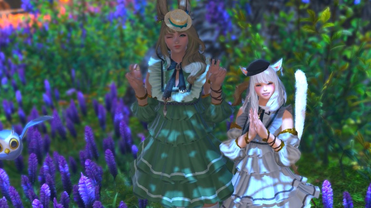 Yukina お揃いコーデプレゼントしてくれたありがとう 服が可愛いとテンション上がる ໒ Ff14 Ff14初心者 ヴィエラ ミコッテ