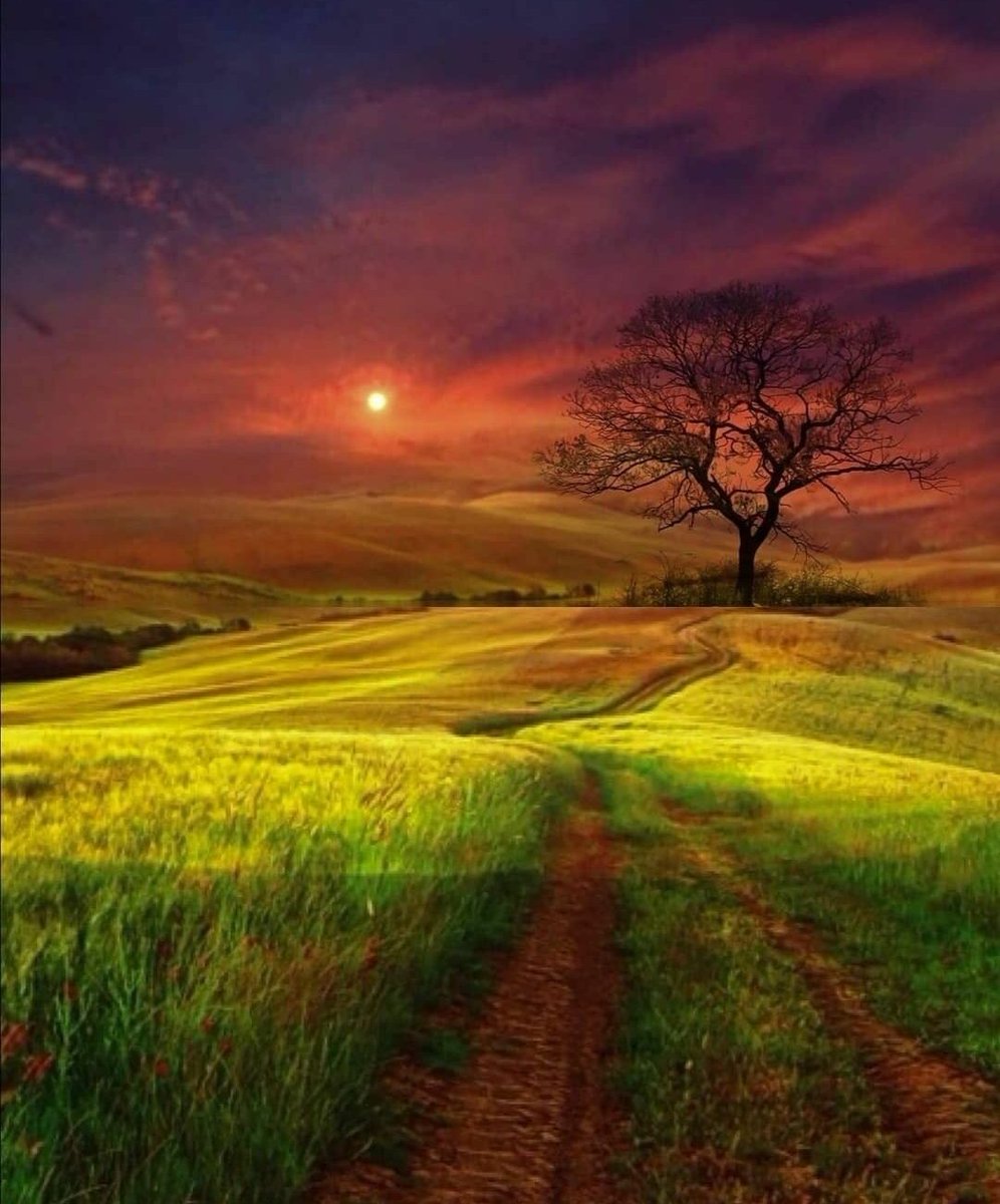DolceRagazza26's tweet photo. Good evening 🌾🍁💫 https://t.co/qxy0bavST9