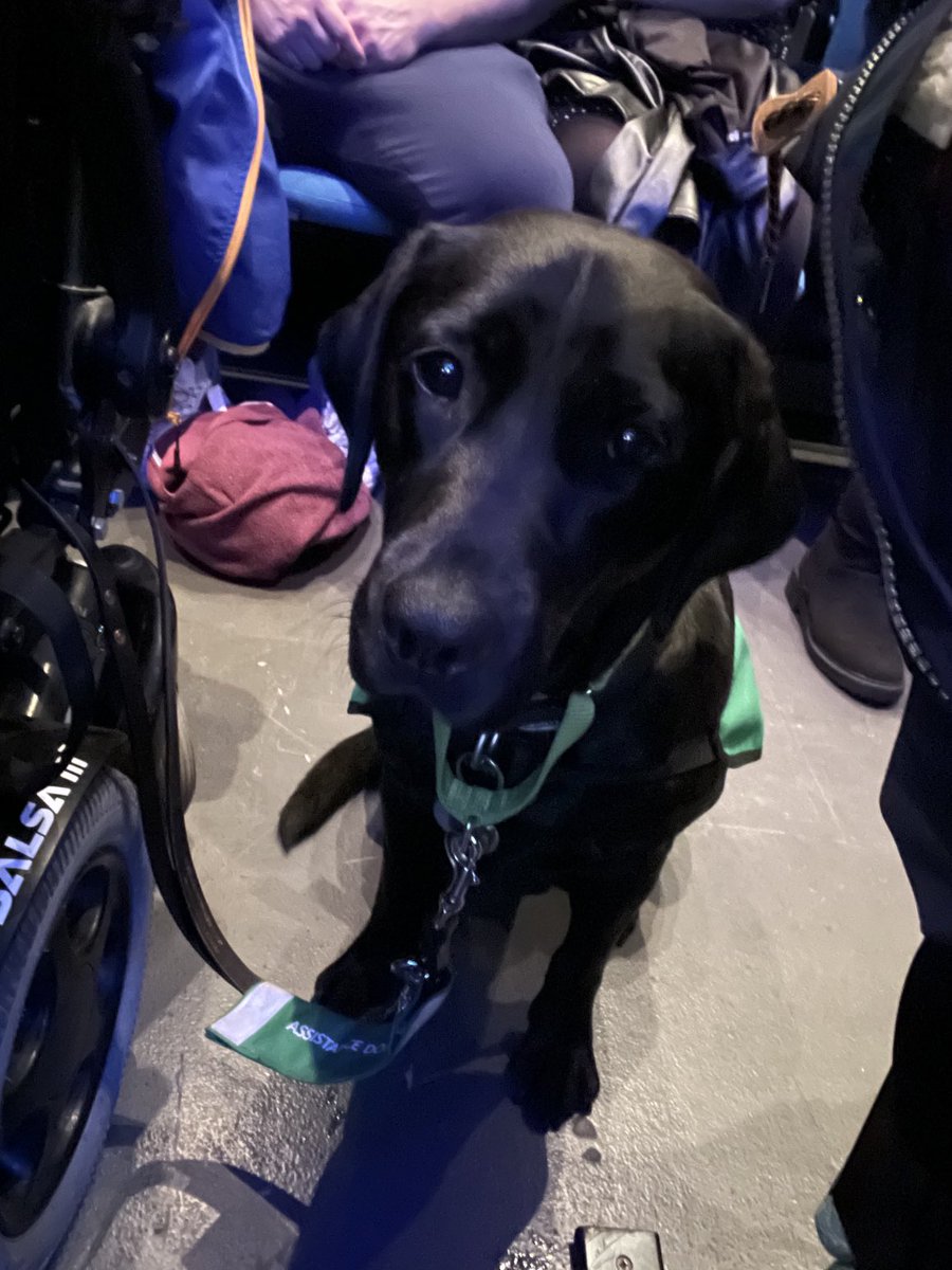 croppersports's tweet photo. We have a dog on the front row #SMAYork https://t.co/Tqh8ipcZqr