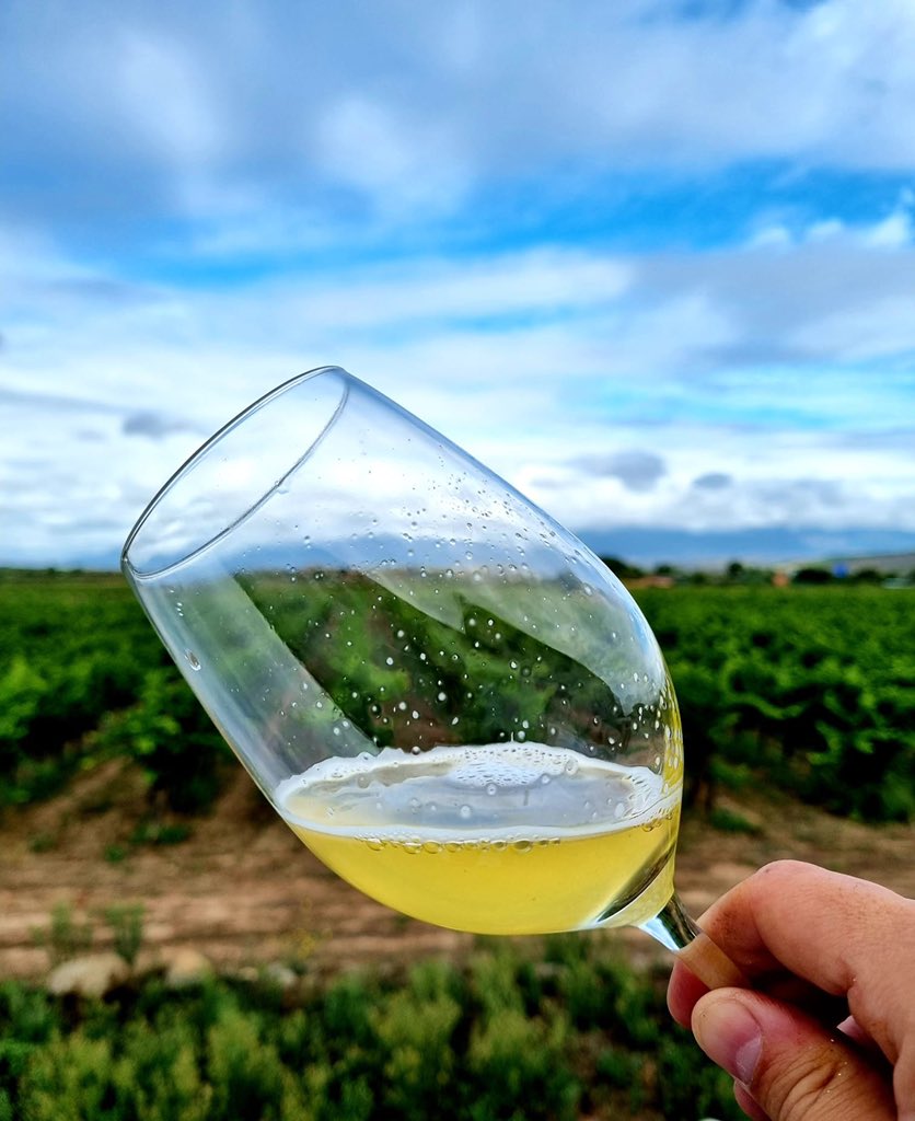 Bodegas Corral, Don Jacobo tweet media